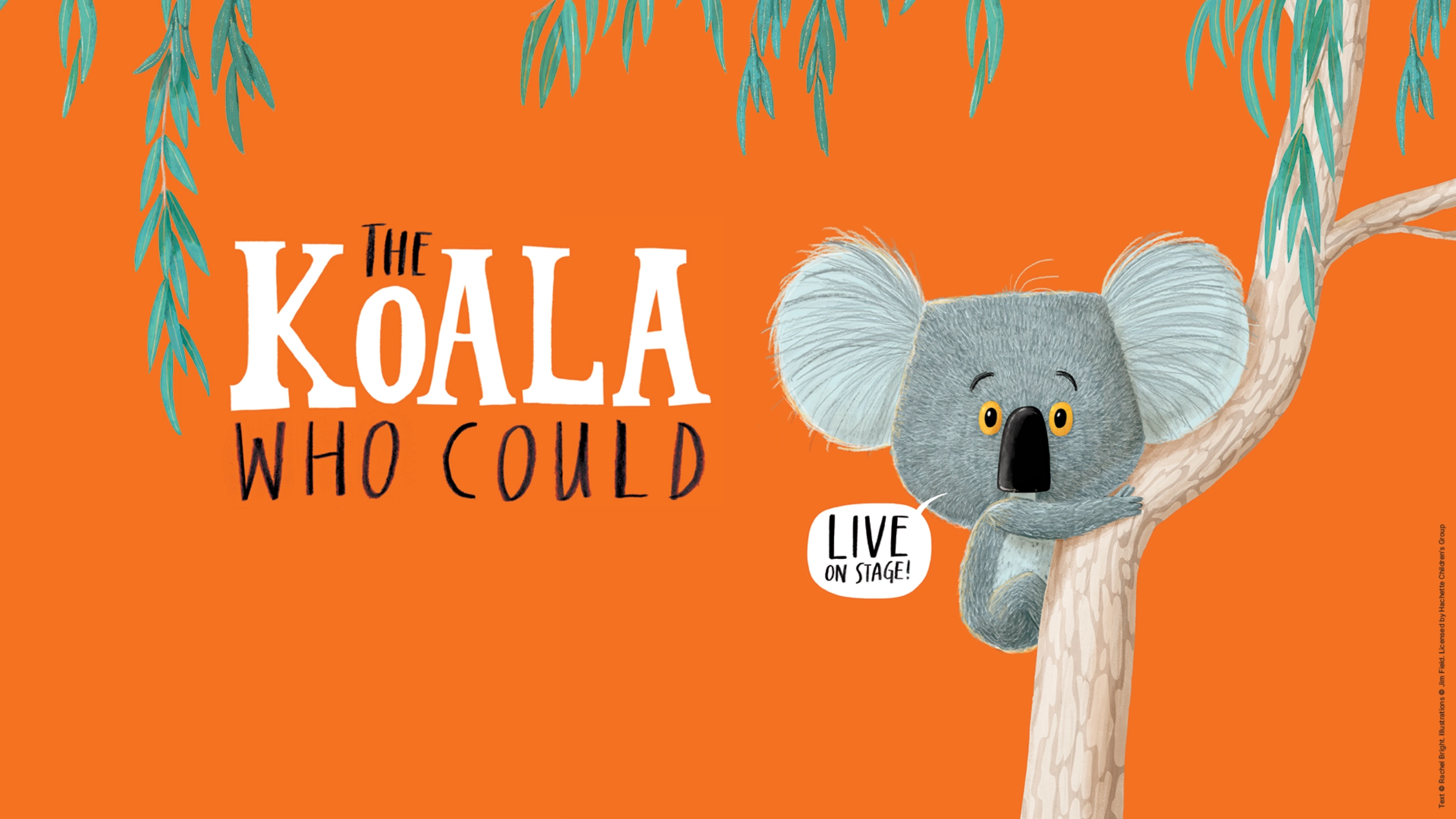 The Koala Who Could